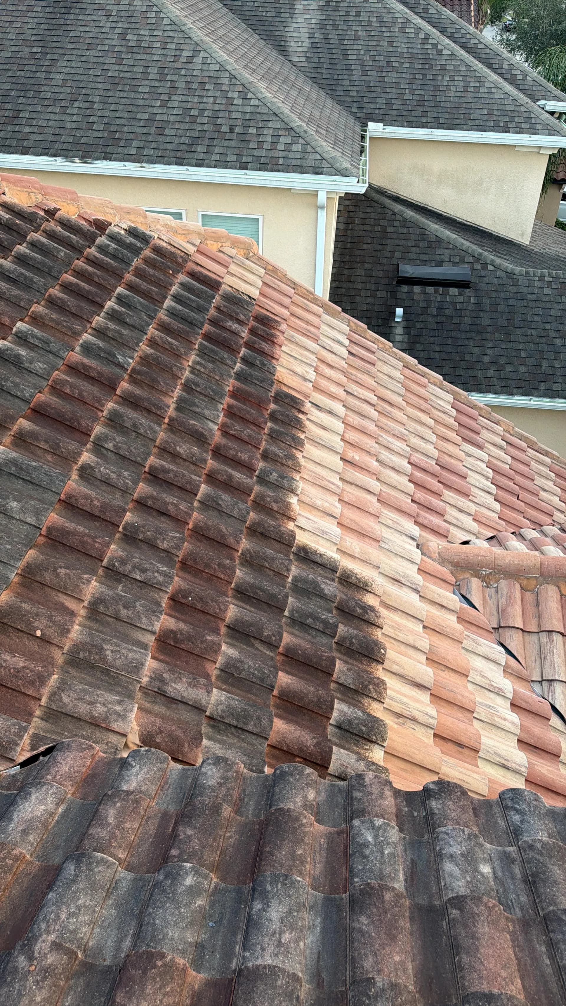 Tile roof during soft washing, with cleaned and uncleaned sections