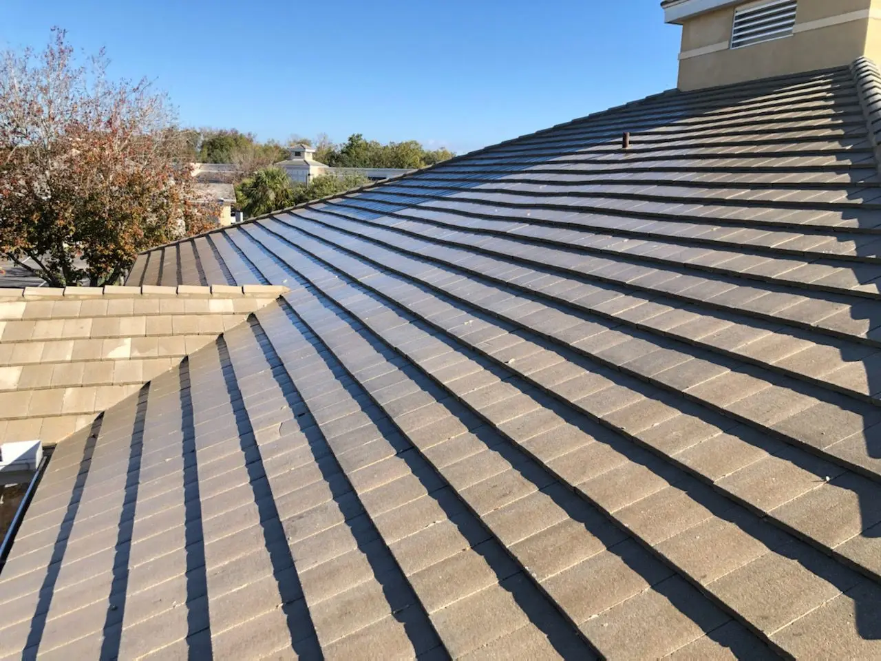 Tile roof after professional cleaning